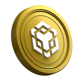 Binance BNB cryptocurrency coin shown on a new trader guide page
